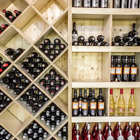 阿巴塞利亚酒店 托萊多