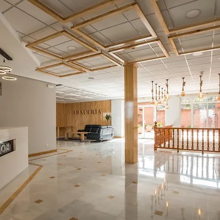 阿巴塞利亚酒店 酒店 托萊多